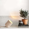 Amidori Table Lamp – High Quality, Modern Style Art Decorative Lamp | Alsolight