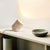 Amidori Table Lamp – High Quality, Modern Style Art Decorative Lamp | Alsolight