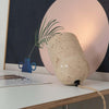 Amidori Table Lamp – High Quality, Modern Style Art Decorative Lamp | Alsolight