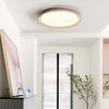Aureum Ceiling Lamp – Nordic Minimalist Bedroom Decorative Lamp | Alsolight