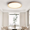 Aureum Ceiling Lamp – Nordic Minimalist Bedroom Decorative Lamp | Alsolight