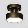 Ojere Brass Rotating Ceiling Lamp – Modern & Elegant Lighting | Alsolight