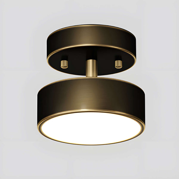 Ojere Brass Rotating Ceiling Lamp – Modern & Elegant Lighting | Alsolight