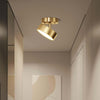Ojere Brass Rotating Ceiling Lamp – Modern & Elegant Lighting | Alsolight
