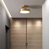 Ojere Brass Rotating Ceiling Lamp – Modern & Elegant Lighting | Alsolight