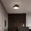 Ojere Brass Rotating Ceiling Lamp – Modern & Elegant Lighting | Alsolight