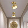 Ojere Brass Rotating Ceiling Lamp – Modern & Elegant Lighting | Alsolight