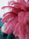 Panade Floor Lamp – Hand-Dyed Ostrich Feather Luxury Light | Alsolight