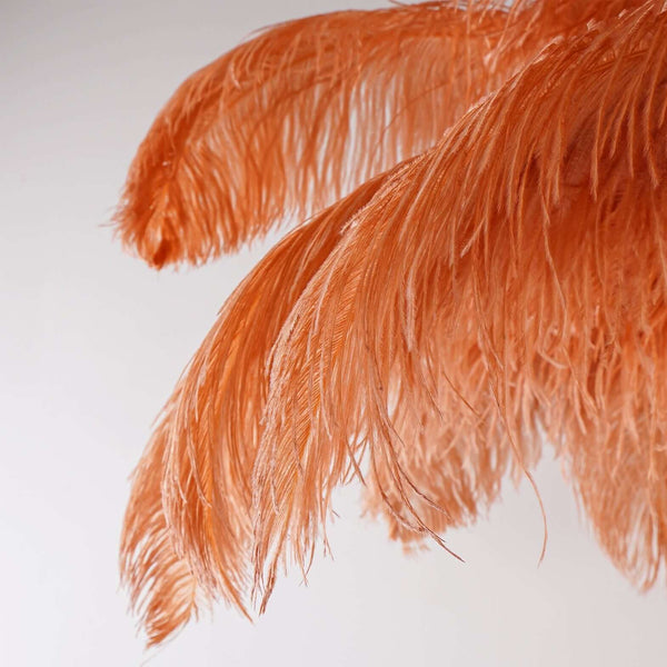 Panade Floor Lamp – Hand-Dyed Ostrich Feather Luxury Light | Alsolight