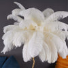 Panade Floor Lamp – Hand-Dyed Ostrich Feather Luxury Light | Alsolight