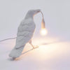 Raven Shape Crow Table Lamp – Unique & Modern Accent Lighting | Alsolight
