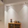 Modupoint Ceiling Light