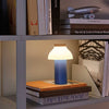 Portable Desk Lamp