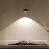 Reading LED Table Lamp